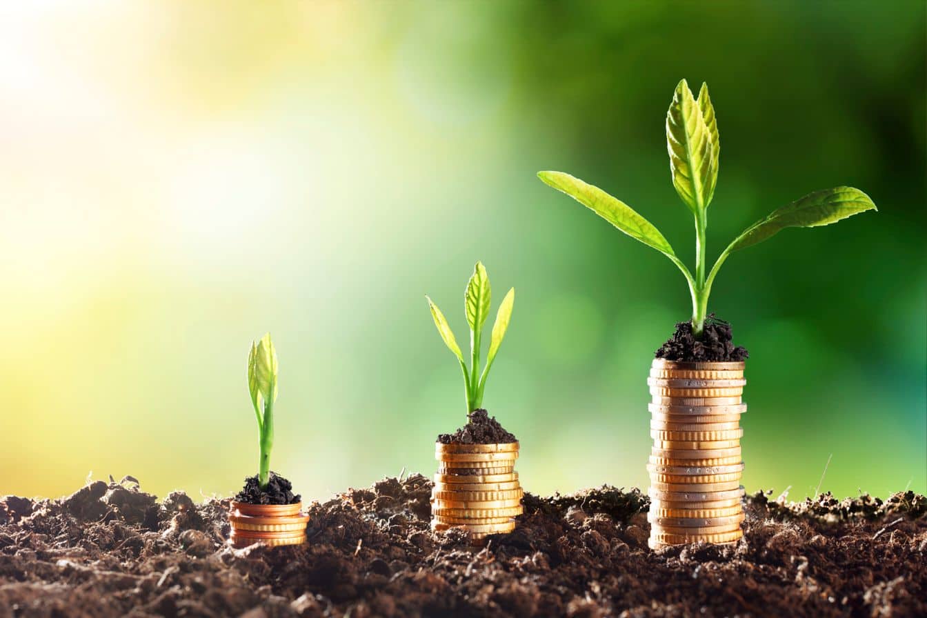 6 Myths About Sustainable Investments in a Reality Check 