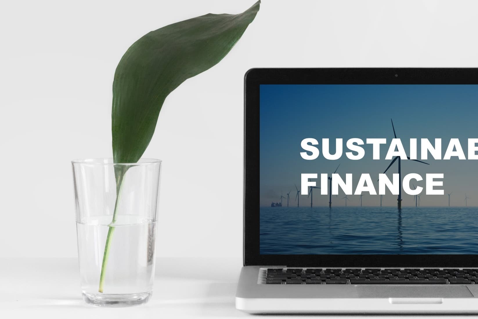 Was ist Sustainable Finance und warum sind Nachhaltige Geldanlagen wichtig?