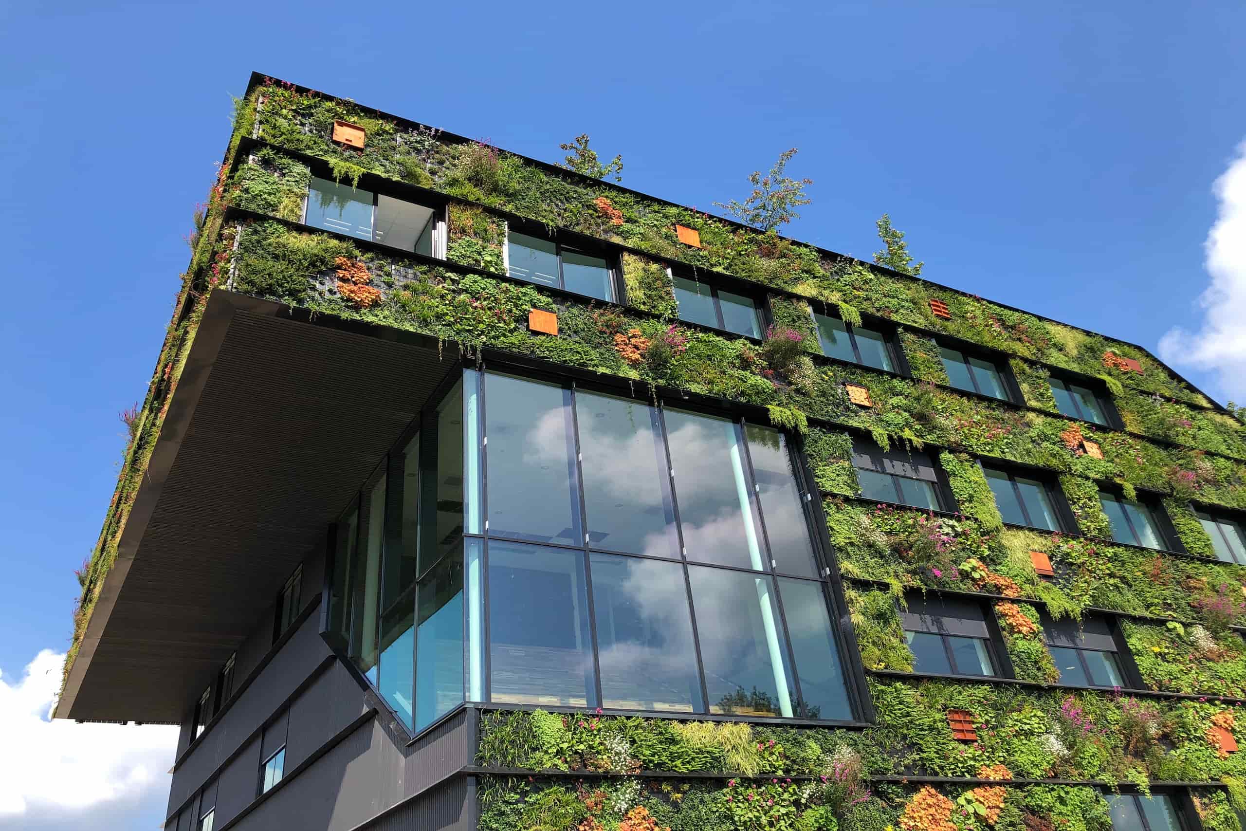 Sustainable building