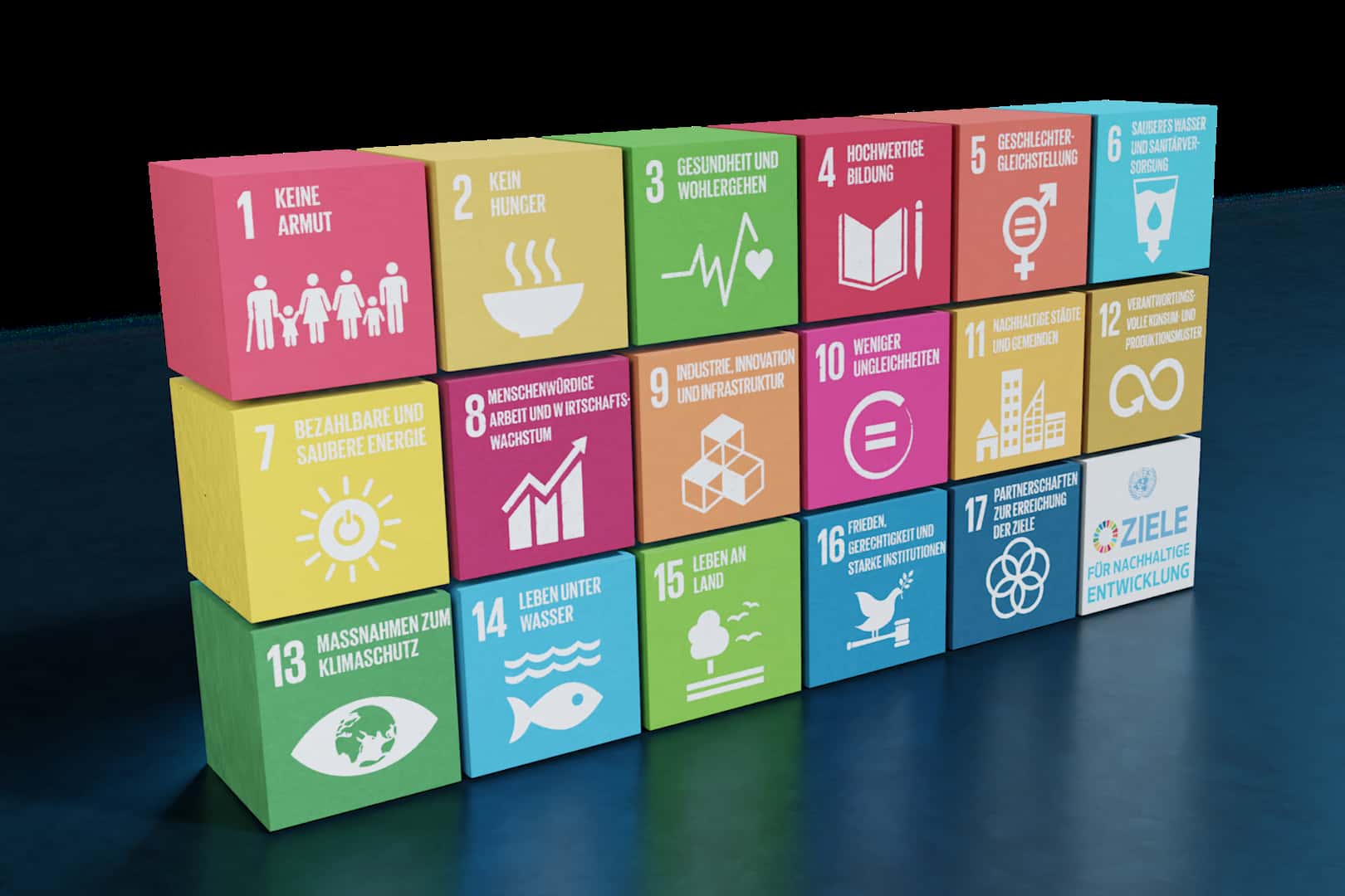 The Sustainable Developement Goals